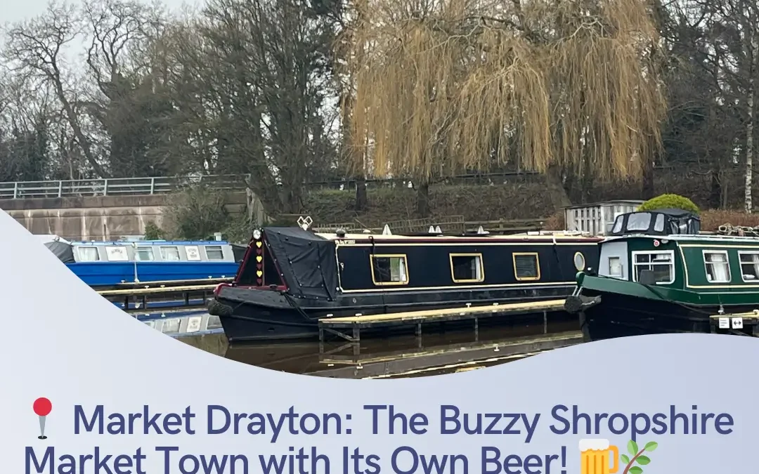 market drayton buzzy shropshire beer