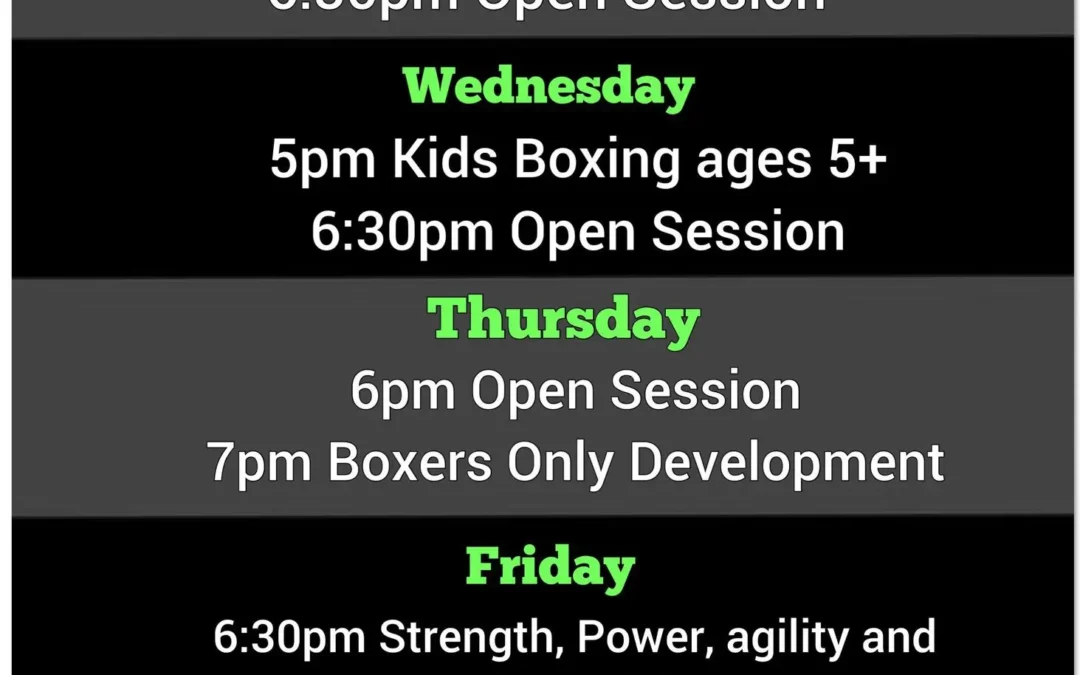 Ladies Boxing