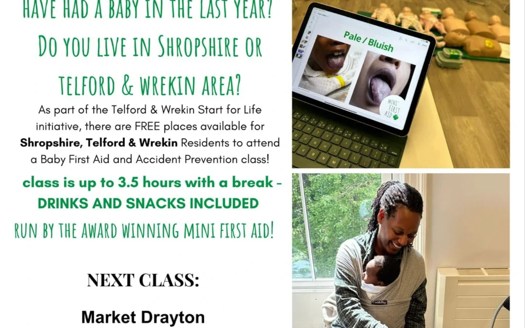 Mini First Aid Shropshire