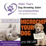 Alder Paws in Market Drayton Alder Paws in Market Drayton
