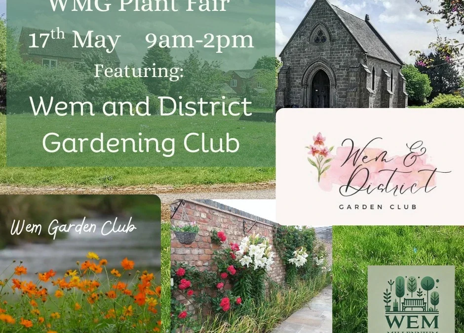 WMG Plant Fair