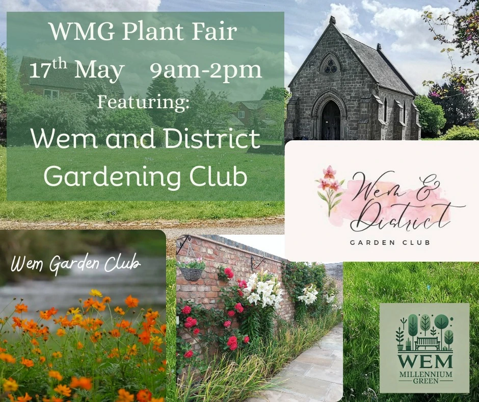 WMG Plant Fair