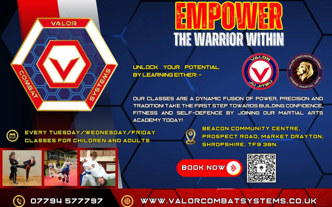Valor Combat Systems Martial Arts Academy