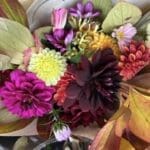 Flowers at the Maples