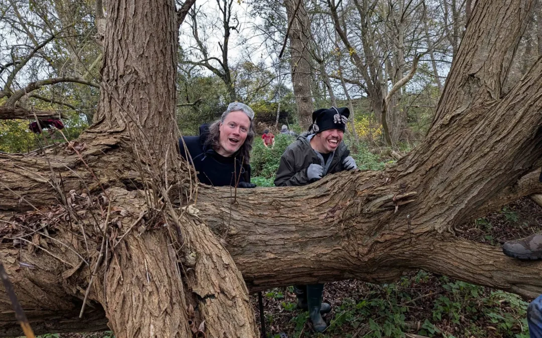 Volunteer Weekend