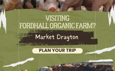 Visiting Fordhall Organic Farm?