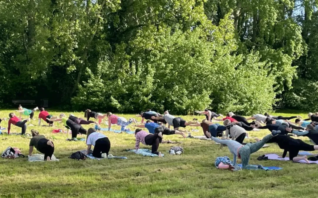 Park Yoga