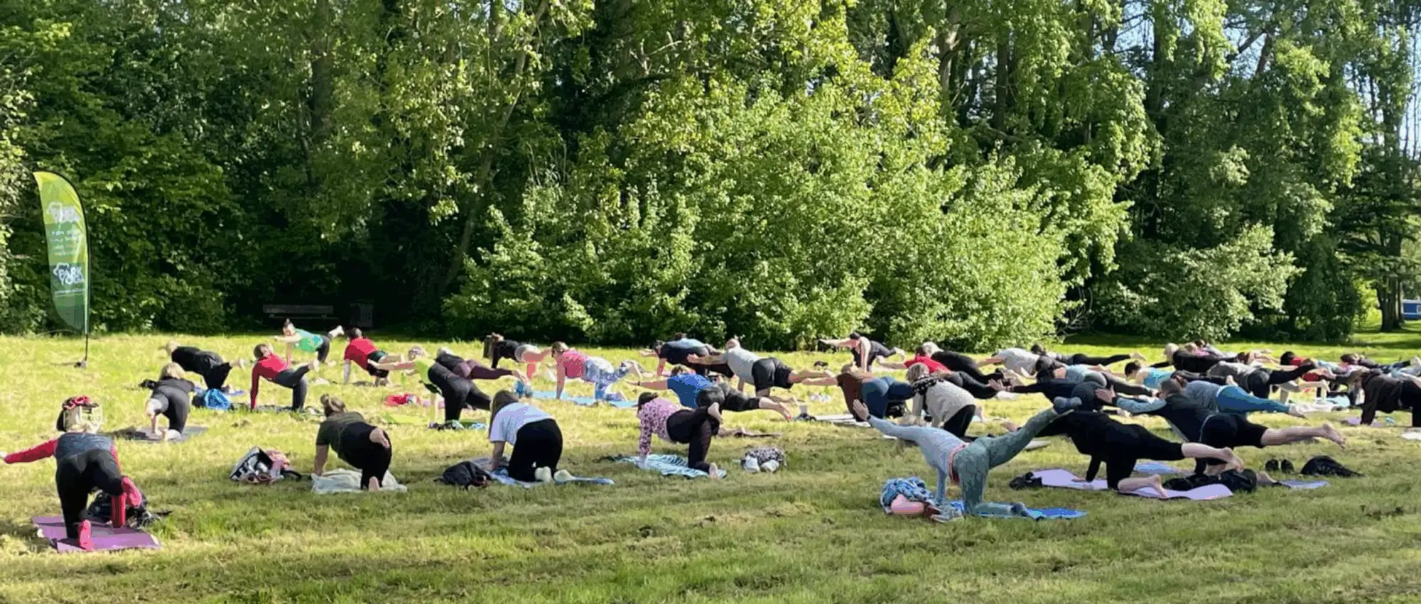 Park Yoga