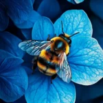 Blue Bees Blue Bees