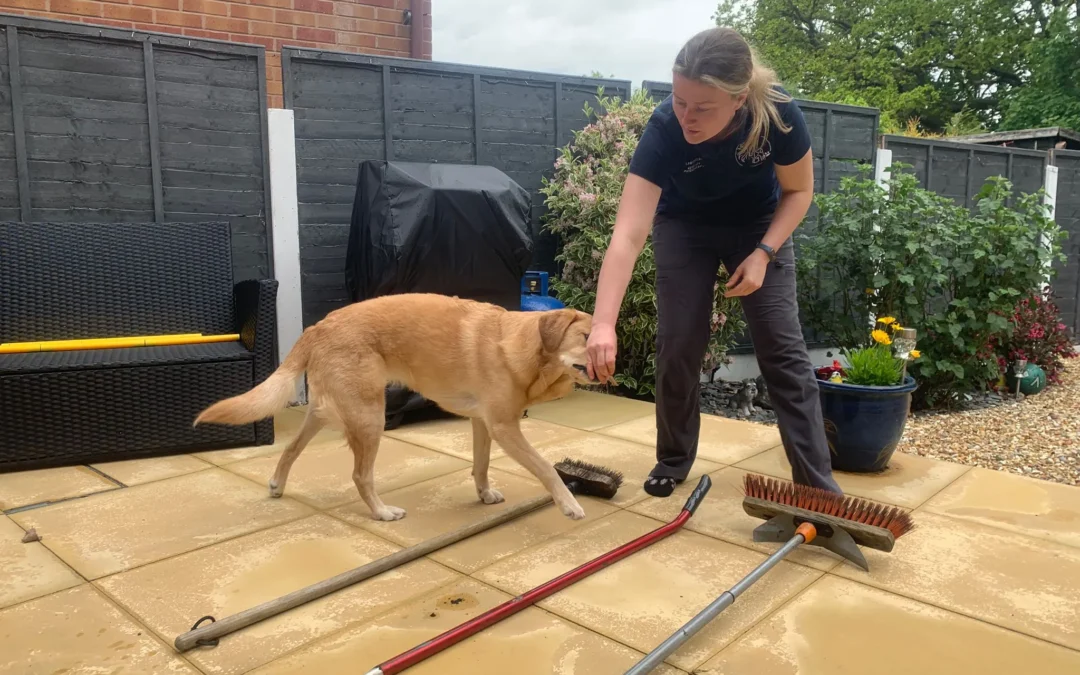 Market Drayton Veterinary Physiotherapist Shortlisted for Female Entrepreneur Award
