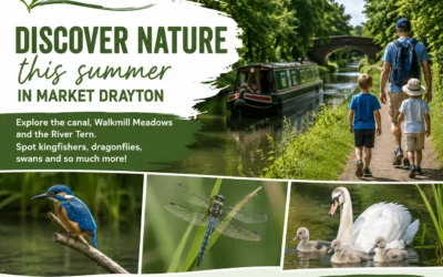 Discover Nature This Summer in Market Drayton