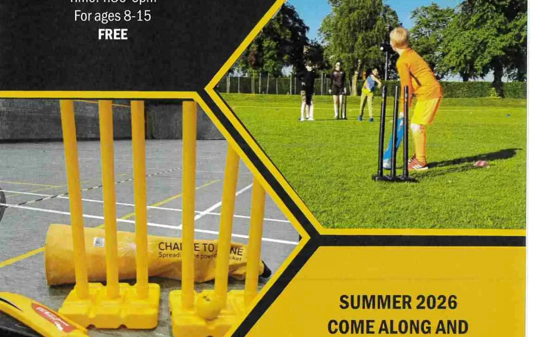 Free Street Cricket